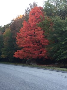 F914D22D-9761-407B-B550-19C6A1AE0A49