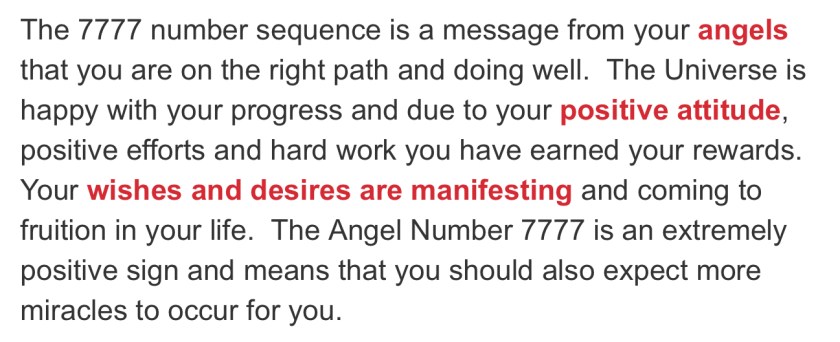 6C3E819D-B95E-4425-9070-1DC7DAE07458