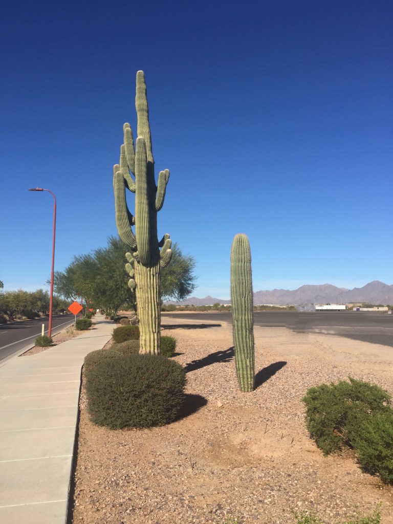 DC71CE10-22E8-446D-A905-14C4E8C32961