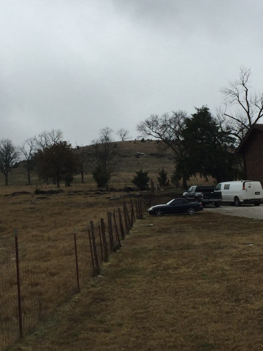 FE7FA447-2075-4945-853F-ED9925AE9474