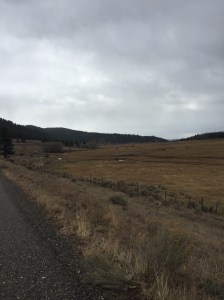 FF19C8EF-0915-495D-9C54-318B1F77D145