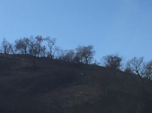 22F14C51-9F3A-4B41-9332-DC86A6C9AA7A