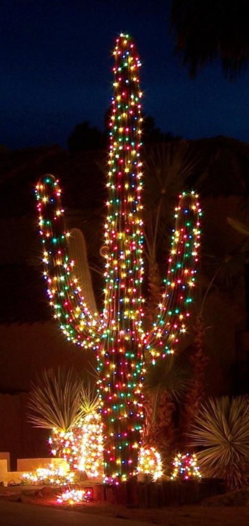 762228C8-7FE4-4E85-A3ED-BCD41867A2A9