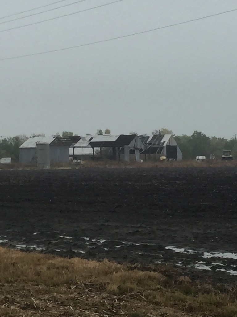 8F9C50A9-74A9-481C-8A0F-B9B142B83E13