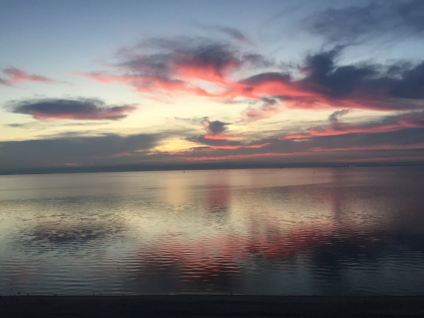 FDB5E6F4-C23D-4B0B-8199-B4A364221B20