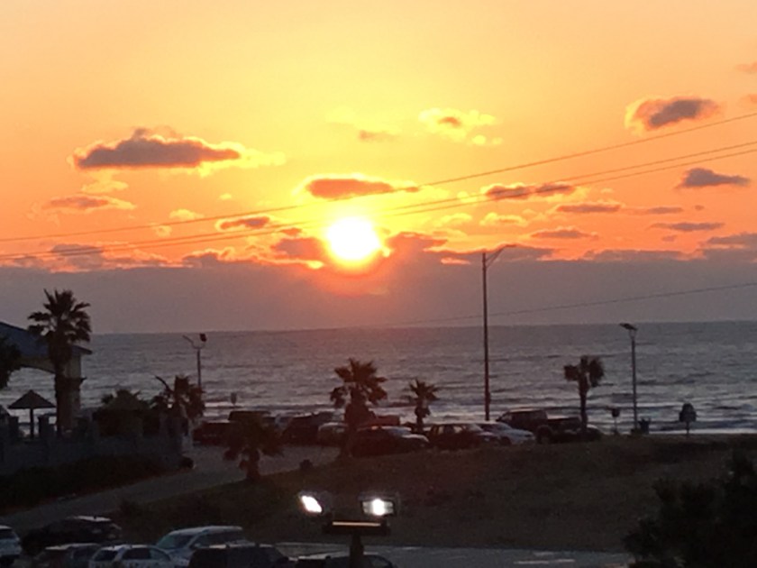 02192C12-98D0-499D-A339-ACB317ABB760