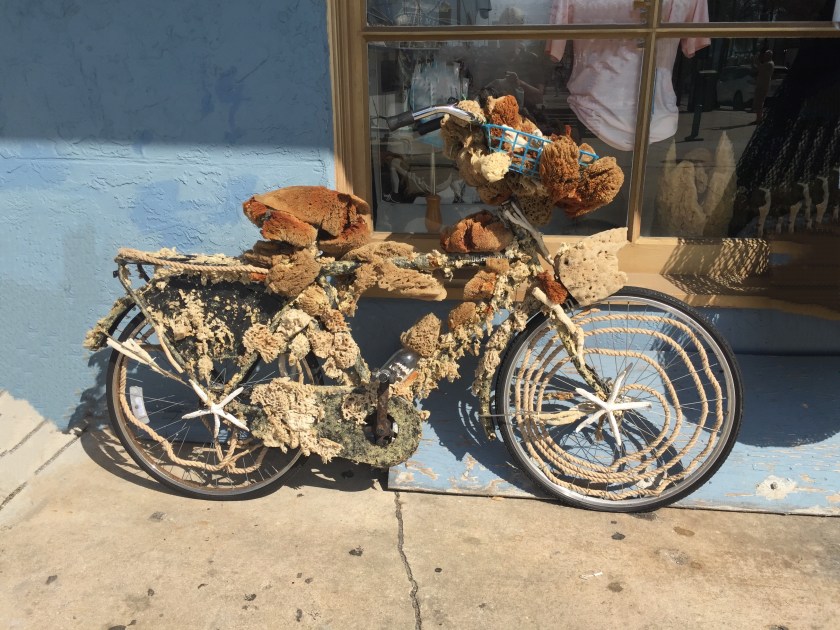 040D4746-A9C6-4AC3-AFD3-67B02621170D