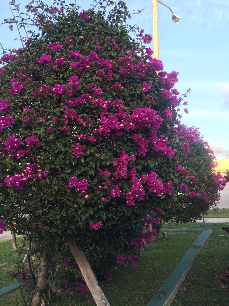 30A4587E-2750-4A1B-BECD-744C43681E85