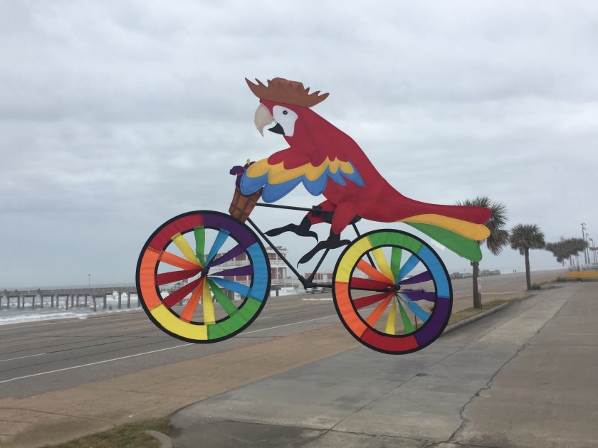 79E9124E-705F-440B-961F-907B4407AFFE