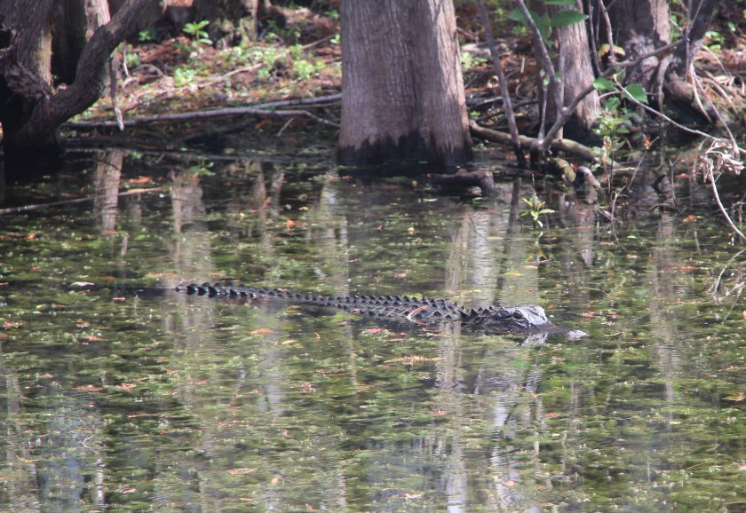 B3988461-7C1C-4CD4-92C2-4C5B55B71DDD