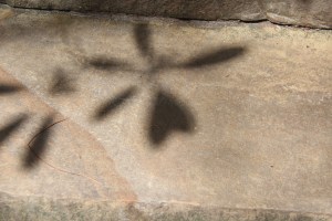 24C5AE70-1400-406A-B26C-EB64B9D06DEB