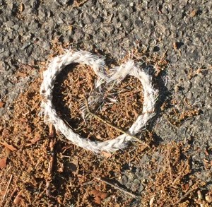 741F73DF-707C-4539-ABF6-0608F36C0022