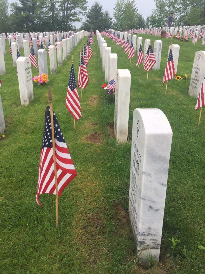 A1603F6C-14F5-413F-BC72-80495F3952A6