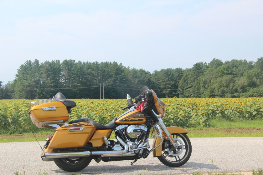 ADE7183A-4D53-4B22-AA3B-AFE2DFF1E0CE