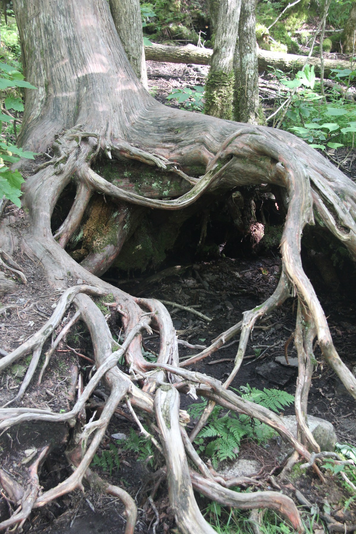 Waterfalls and Riding