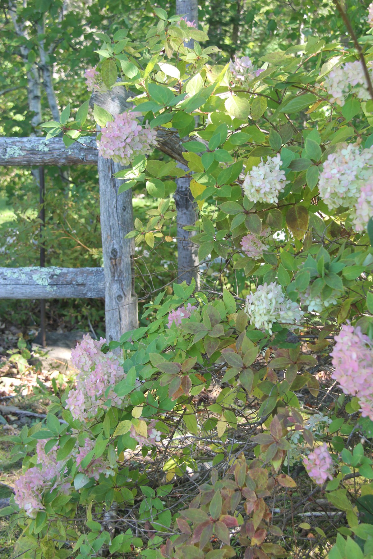 Day at the&nbsp;Coast