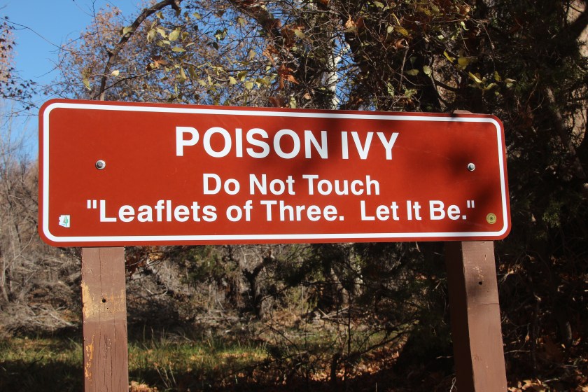 1BD04DE0-982C-4200-AAC0-E0B066C4FCB3