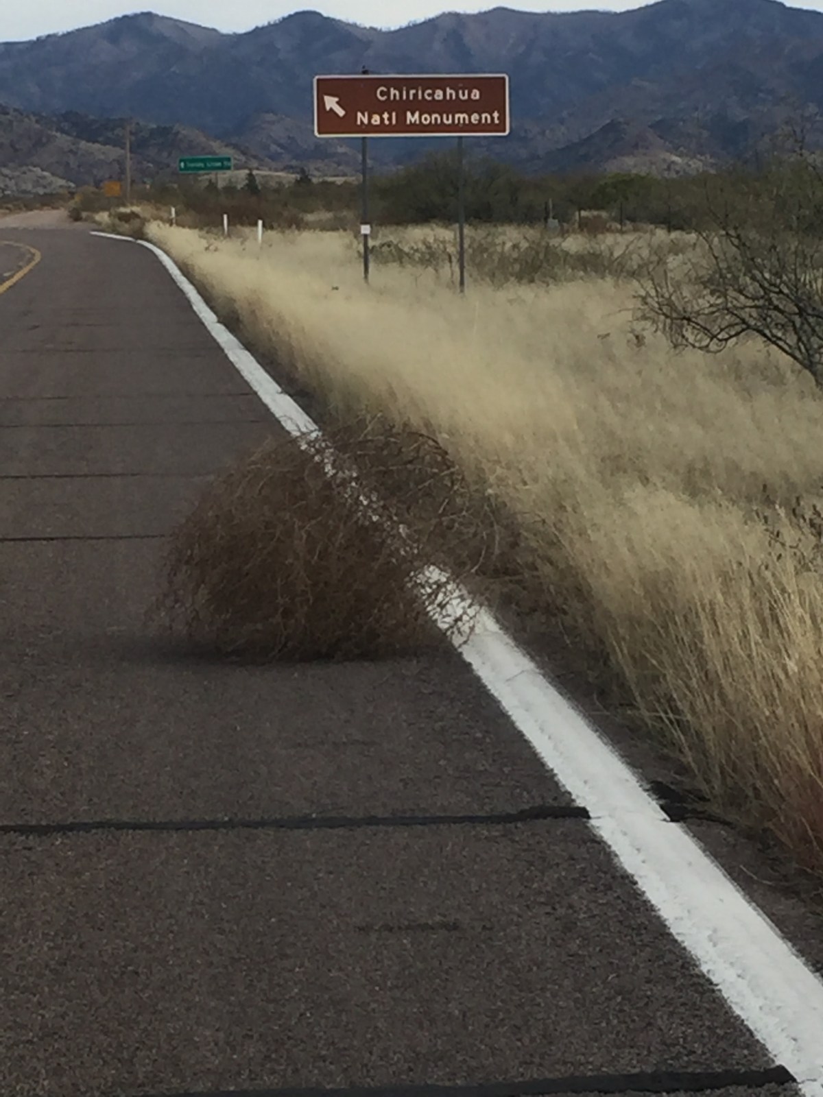Chiricahua National Park